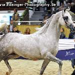 Altis - Altis 2011<br />&copy; Irina Filsinger