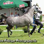Laranda - Laranda 2007<br />&copy; Irina Filsinger