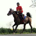 Wened - Wened W Babolnej<br />&copy; Fot. Tomczyk