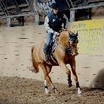 Romeo des Vaux<br />&copy; Agnieszka Pytel