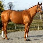 Romeo des Vaux