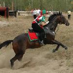 San Diego - Ogólnopolskie Oficjane Zawody w WKKW Stara Miłosna 10-11.09.2005