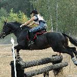 Turkus - Ogólnopolskie Oficjane Zawody w WKKW Stara Miłosna 10-11.09.2005