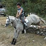 Apolino - Ogólnopolskie Oficjane Zawody w WKKW Stara Miłosna 10-11.09.2005