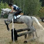 Apolino - Ogólnopolskie Oficjane Zawody w WKKW Stara Miłosna 10-11.09.2005