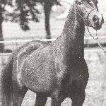 Frajda