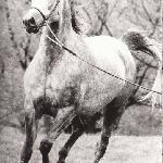 Hreczka