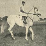 Jagoda<br /><i>Jeździec i Hodowca 1932</i>