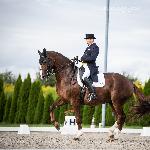 Adrenalin<br />&copy; Julia Świętochowska<br /><i>fb dressage24.pl</i>