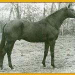 Saros