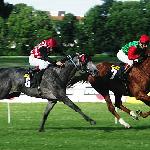 Hipoliner - 2005 rok Realina i Hipoliner<br />&copy; Baza Koni