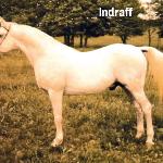 Indraff