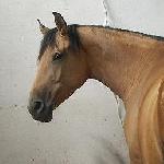Bajka