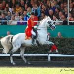 Santini - SO Celle , wrzesień 2009<br />&copy; Oliwia Chmielewska