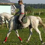 Mustafa