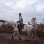 Mustafa