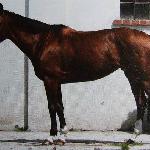 Siewanna