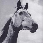 Hathor