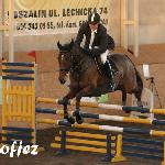 Chiwien<br />&copy; Zofia Halina Jezierska