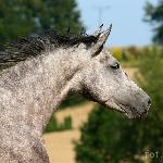 Sellama<br />&copy; Katarzyna Broda