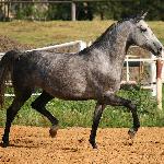Sellama<br />&copy; Katarzyna Broda