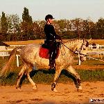 Bachus