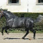 Sambor