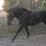 Bulwar<br />&copy; photobucket Tanieczka