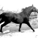 Bulwar<br />&copy; photobucket Tanieczka