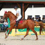 Katran - ZR-B Warka, 7.08.2010<br />&copy; Oliwia Chmielewska