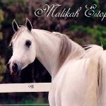 Malikah Estopa