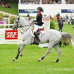 Mylord Carthago - CSIO5* St Gallen 2012<br />&copy; Oliwia Chmielewska