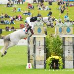 Mylord Carthago - CSIO5* St Gallen 2012<br />&copy; Oliwia Chmielewska