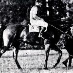 Colombo
