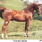 Serafix