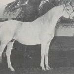 Gwyn