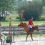 Good Boy - Good Boy, Gajewniki 2010<br />&copy; BW