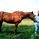 Dżamajka - 2006 rok
