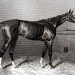 Regalia