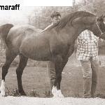 Imaraff