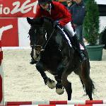 Łacona K - Parada Jeździecka Katowice 2009r.<br />&copy; Małgorzata Serafin-Kozyra