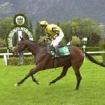 Masini - Masini i James Crowley wygrywają Gran Premio Merano 2004 Fot. wrbna.cz<br />&copy; wrbna.cz