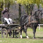 Jarsen - ZT Książ 2007<br />&copy; Katarzyna Broda (faraa)