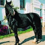 Arsenał