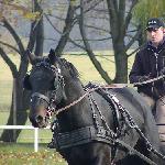 Delegat - ZT Książ 2007<br />&copy; Katarzyna Broda (faraa)