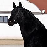 Milord