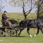 Elekt - ZT Książ 2007<br />&copy; Katarzyna Broda (faraa)