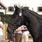 Antares<br />&copy; faraa