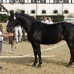 Antares<br />&copy; faraa