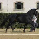Antares<br />&copy; faraa